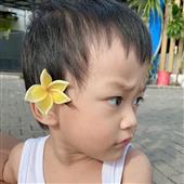 Bản