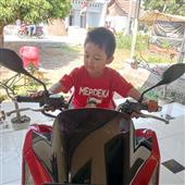 lục