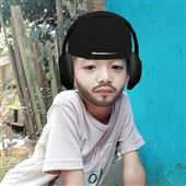 The 