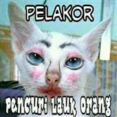 Cách