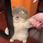 Cuộn
