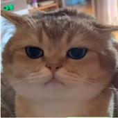 thần