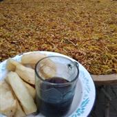 6 mặ