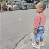 Dạ h