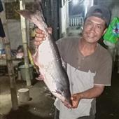 Tiền