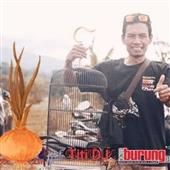 Sức
