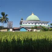 Vua