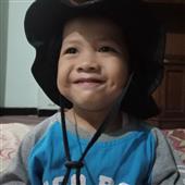 Gấu