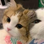Redd