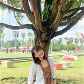 Cung