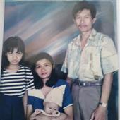 Trực