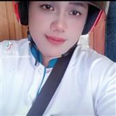 Gấu 
