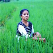 Thự
