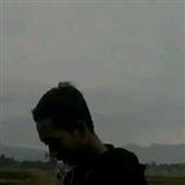Rou