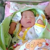 Bạo