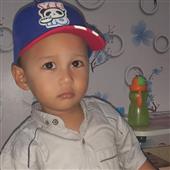 Gấu