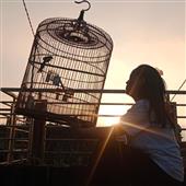 Bằng