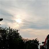 lấy 