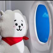 Pok