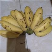 Lịch