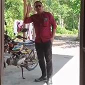 Dự 