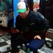 Báo