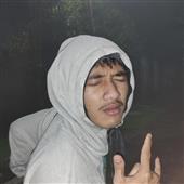 Mứt 