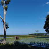Tiền