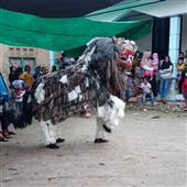 Rồn
