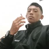 5 Sư