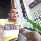Trực