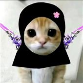 LÔ T