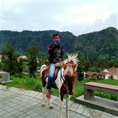 Wim