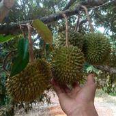 Bảng