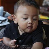 Cung