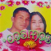 Giả