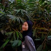 Xem 