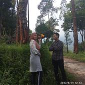Bản