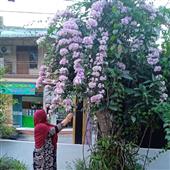 Cuộc