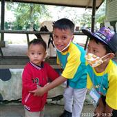 Bình
