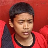 Cung