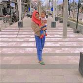 Cung