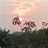 hạn