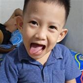GẤU 