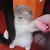 Kho 