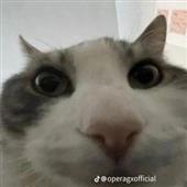 Lò 