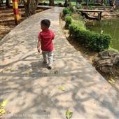 Trự