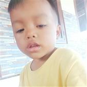 Cung