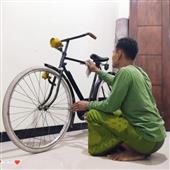 Đán