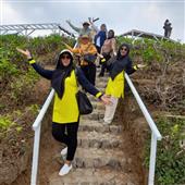 Cuộ